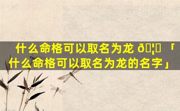 什么命格可以取名为龙 🦆 「什么命格可以取名为龙的名字」